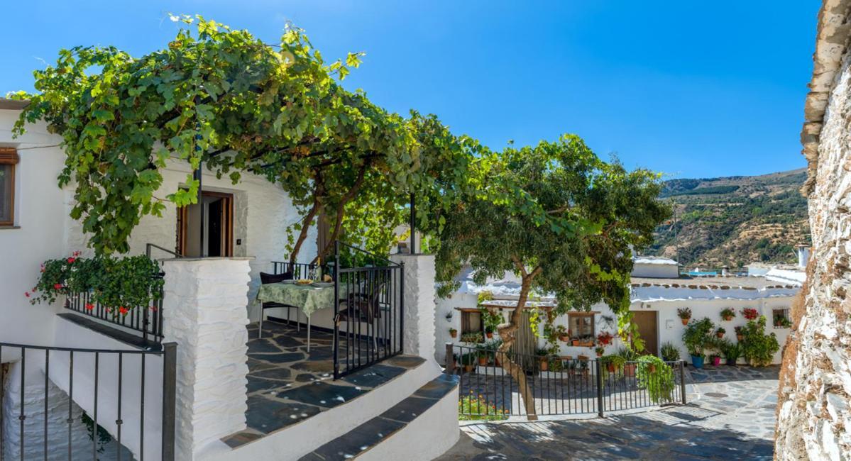 Casa Antonia Capileira La Alpujarra 아파트 외부 사진