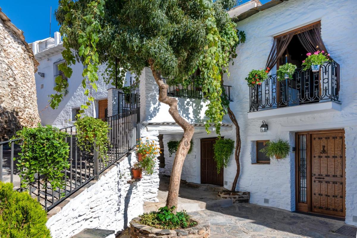 Casa Antonia Capileira La Alpujarra 아파트 외부 사진